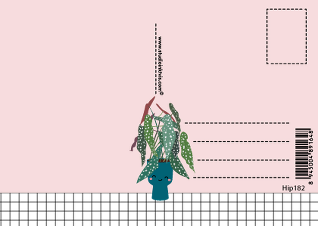 Begonia stippenplant-Ansichtkaarten-Studio Inktvis-Studio Inktvis