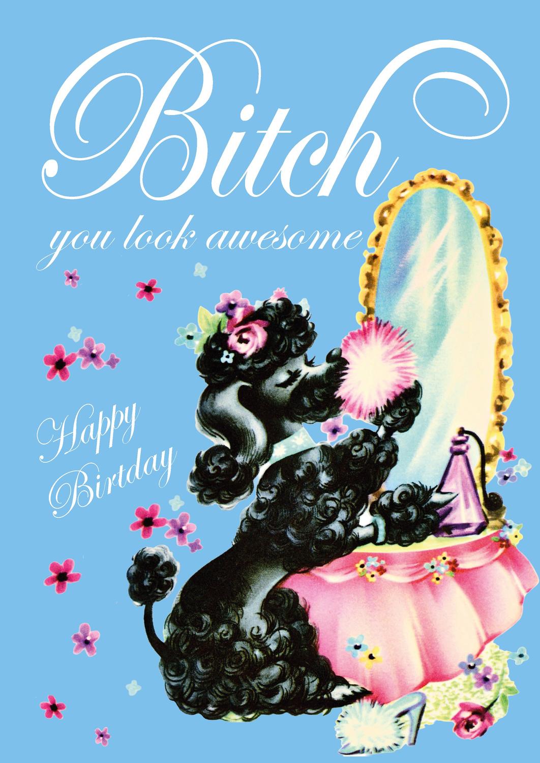 Vintage verjaardagskaart met zwarte poedel in roze rok voor gouden spiegel, tekst "Bitch, you look awesome".