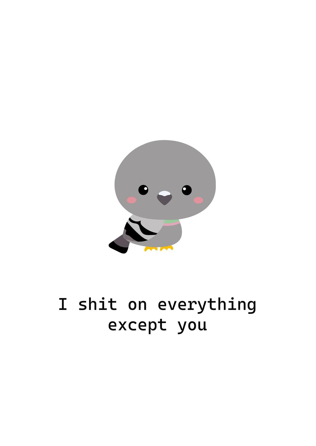 Cute grey cartoon pigeon with pink cheeks and "I shit on everything except you" text on a white card.