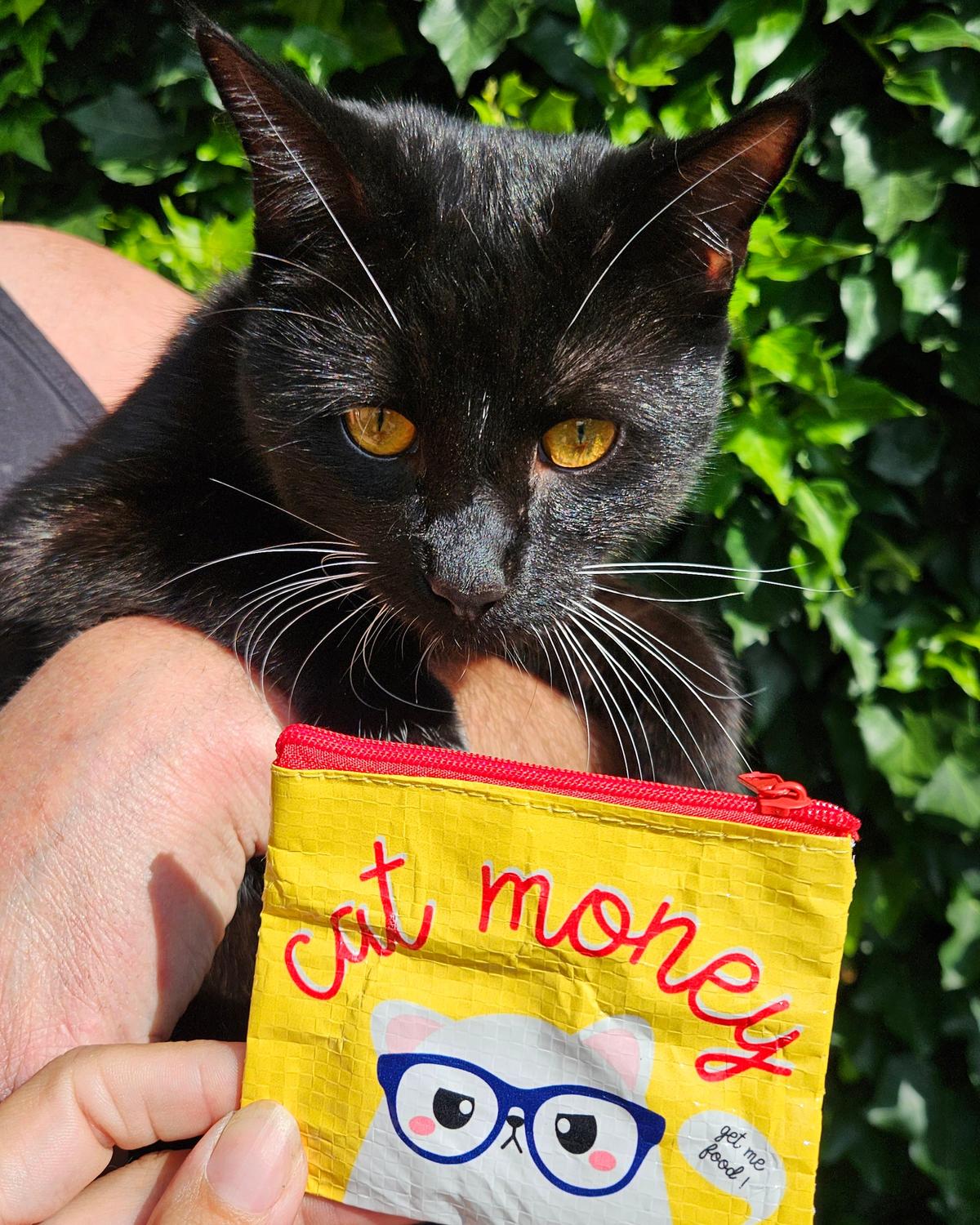 Mini portemonnee Cat money van gerecycled plastic-Portemonnee-Hip-Studio Inktvis