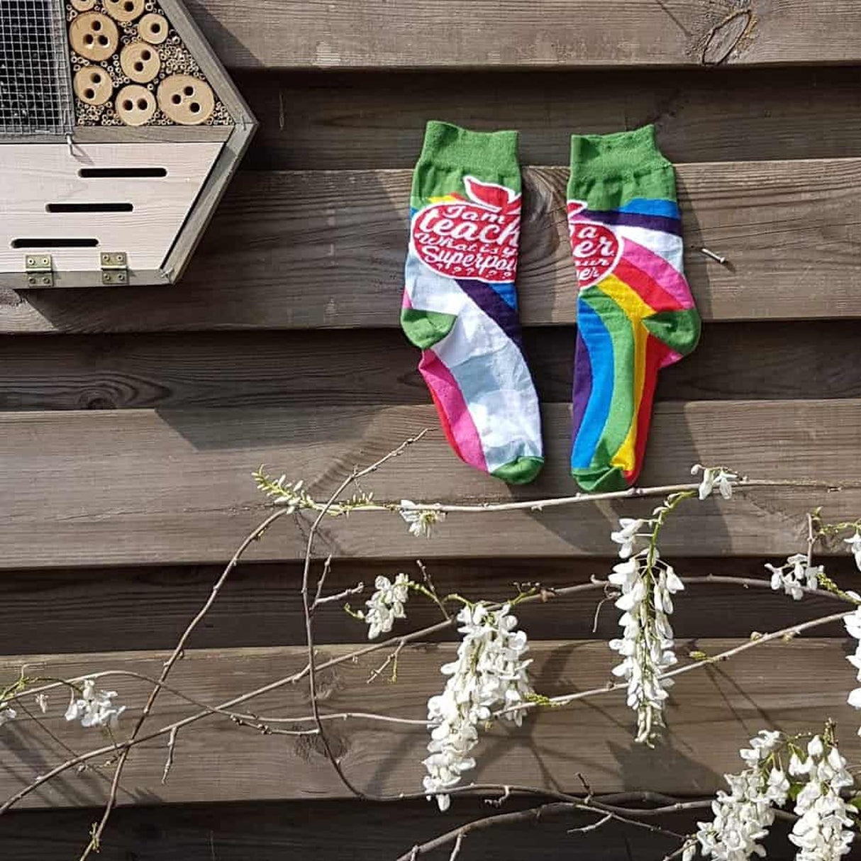 Sokken Teacher 37-41-Studio Inktvis-Studio Inktvis