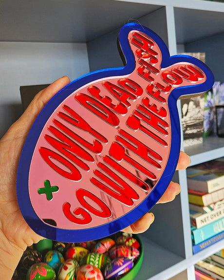 Roze spiegel acrylaat vis wanddecoratie met blauwe rand en rode tekst "Only dead fish go with the flow".