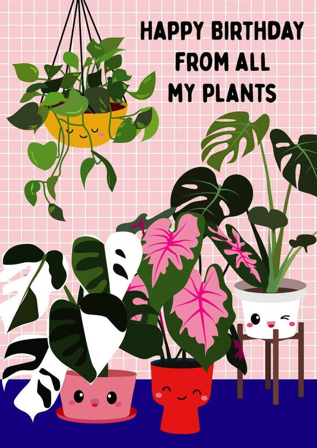 Greeting card plants birthday – Studio Inktvis