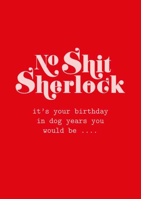 POSTKAART NO SHIT SHERLOCK BIRTHDAY DOG YEARS